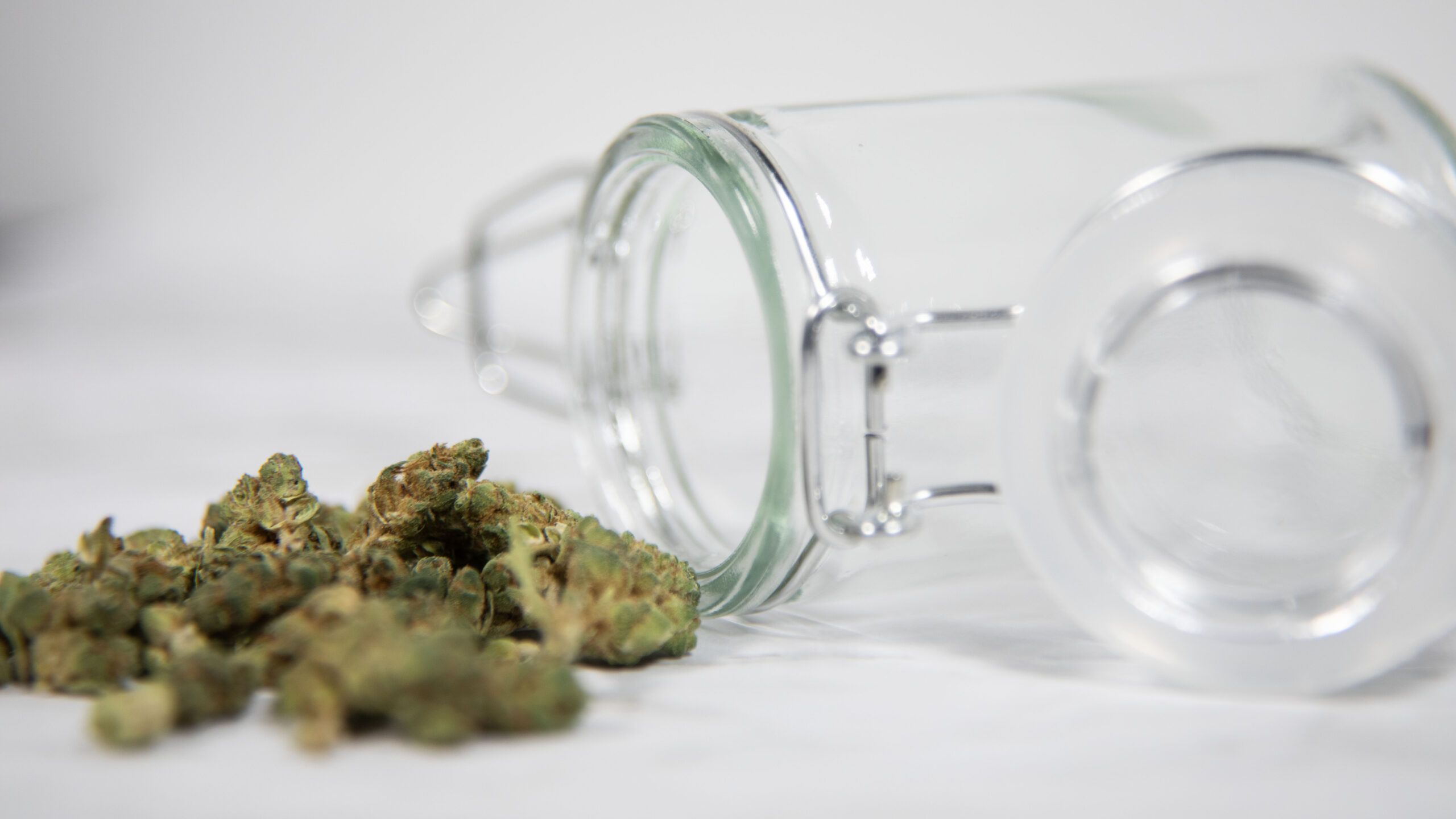 How Should Cannabis Be Stored Properly?